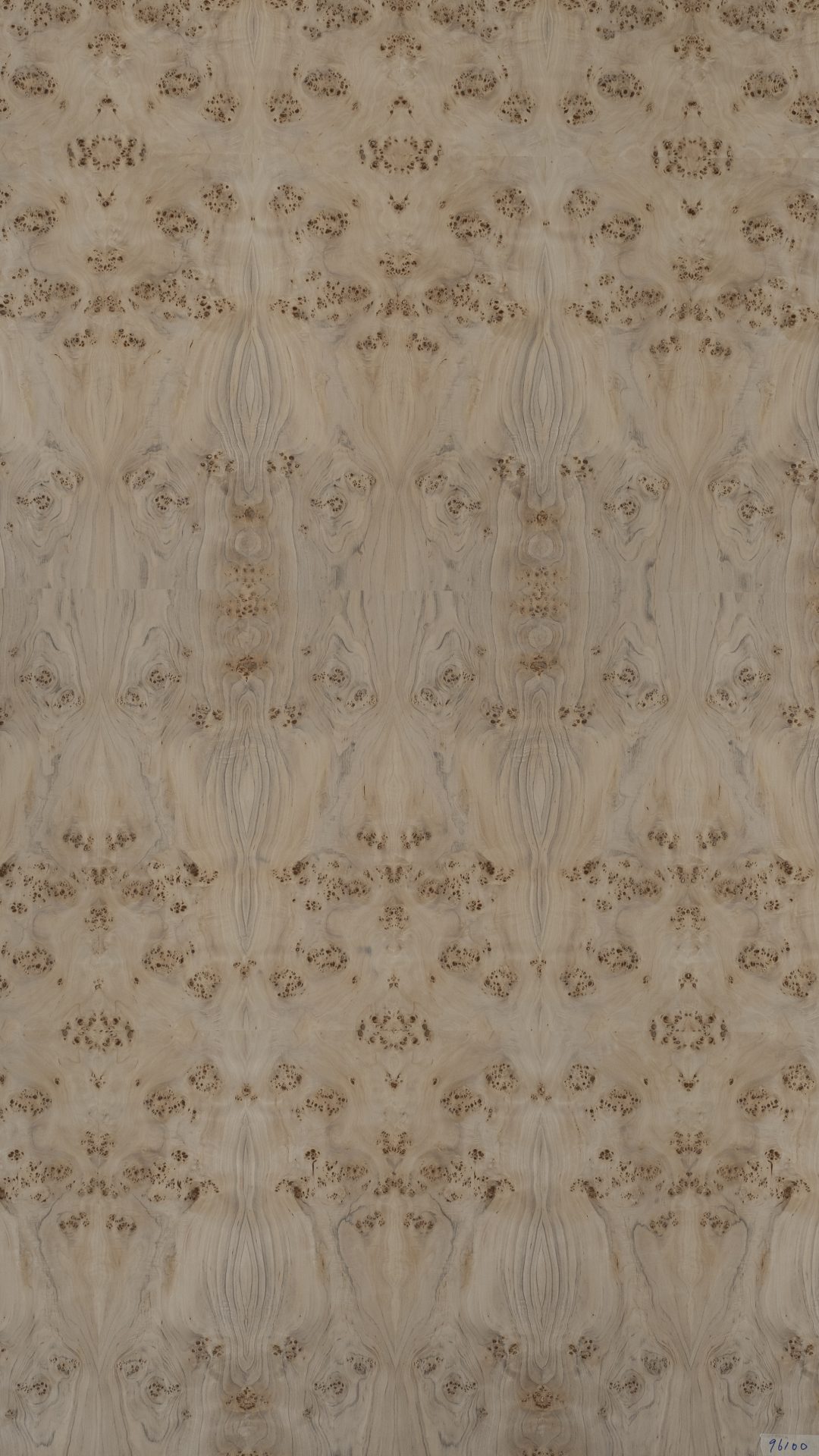 96100 - Image 2