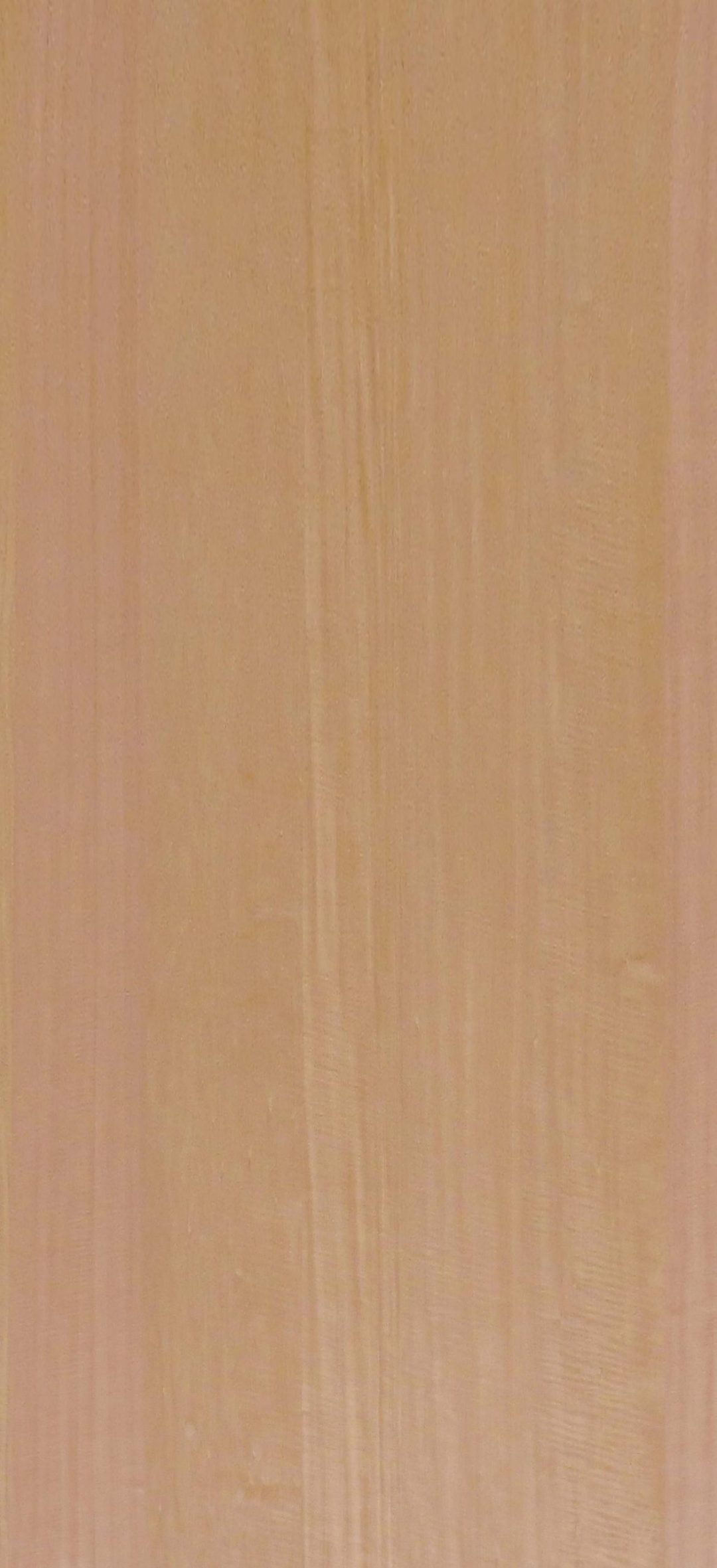 9A803 - Image 2