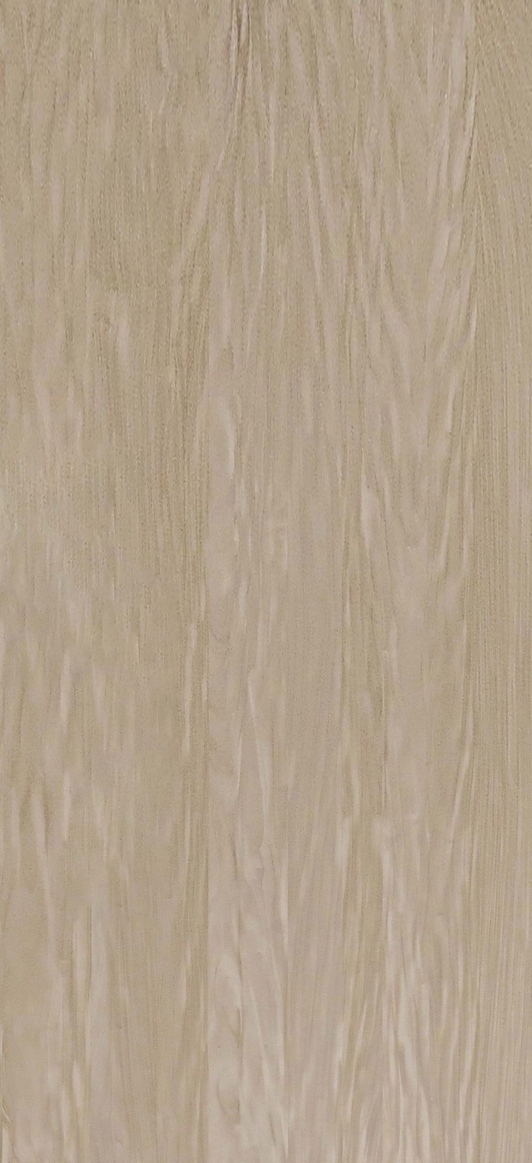 9A806 - Image 2