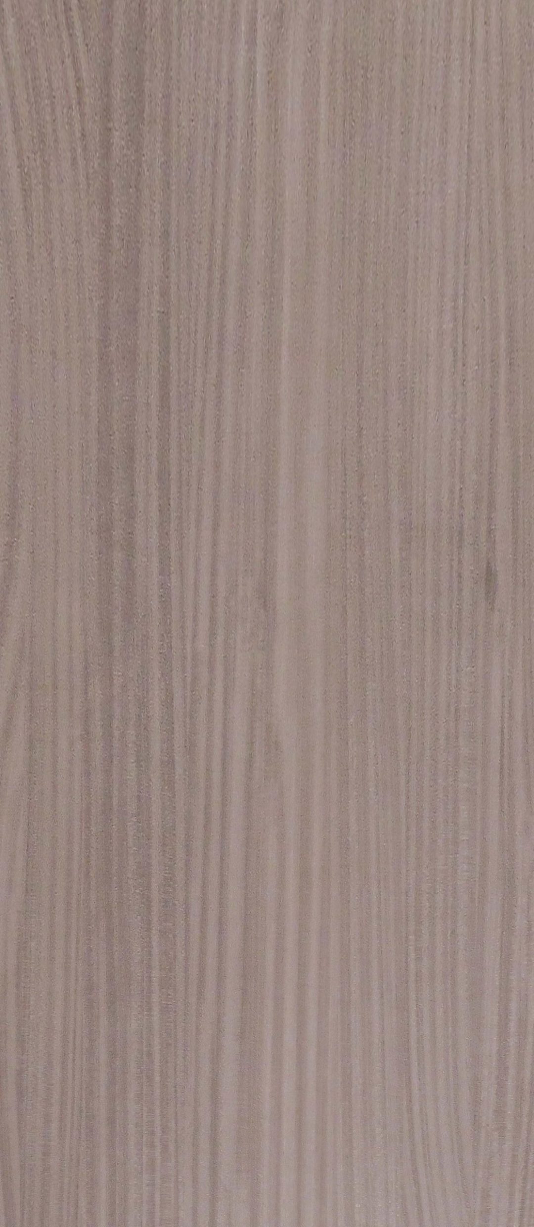 9B507 - Image 2
