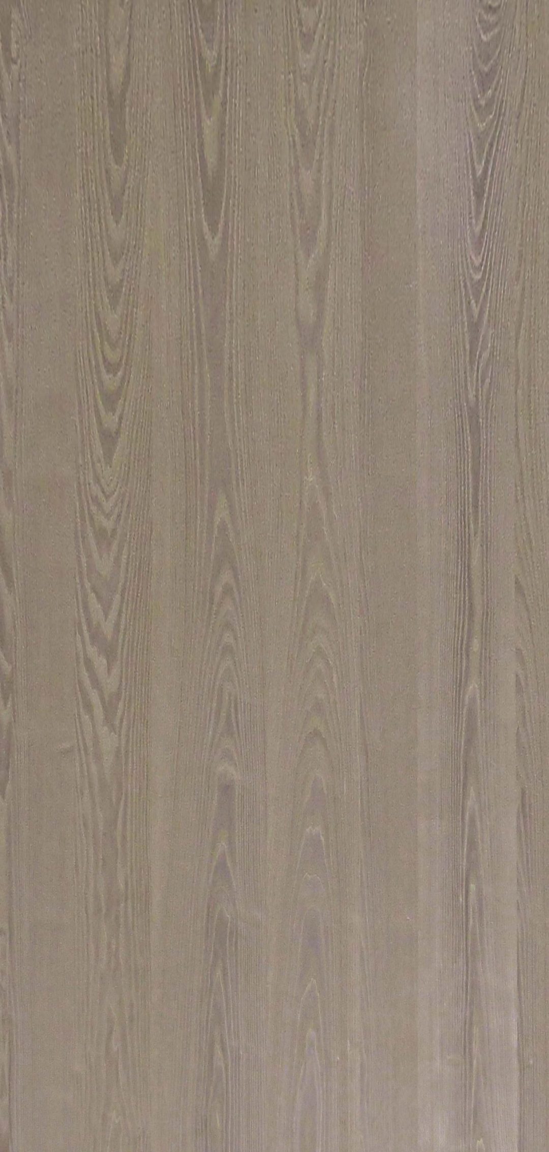 9QY831 - Image 2