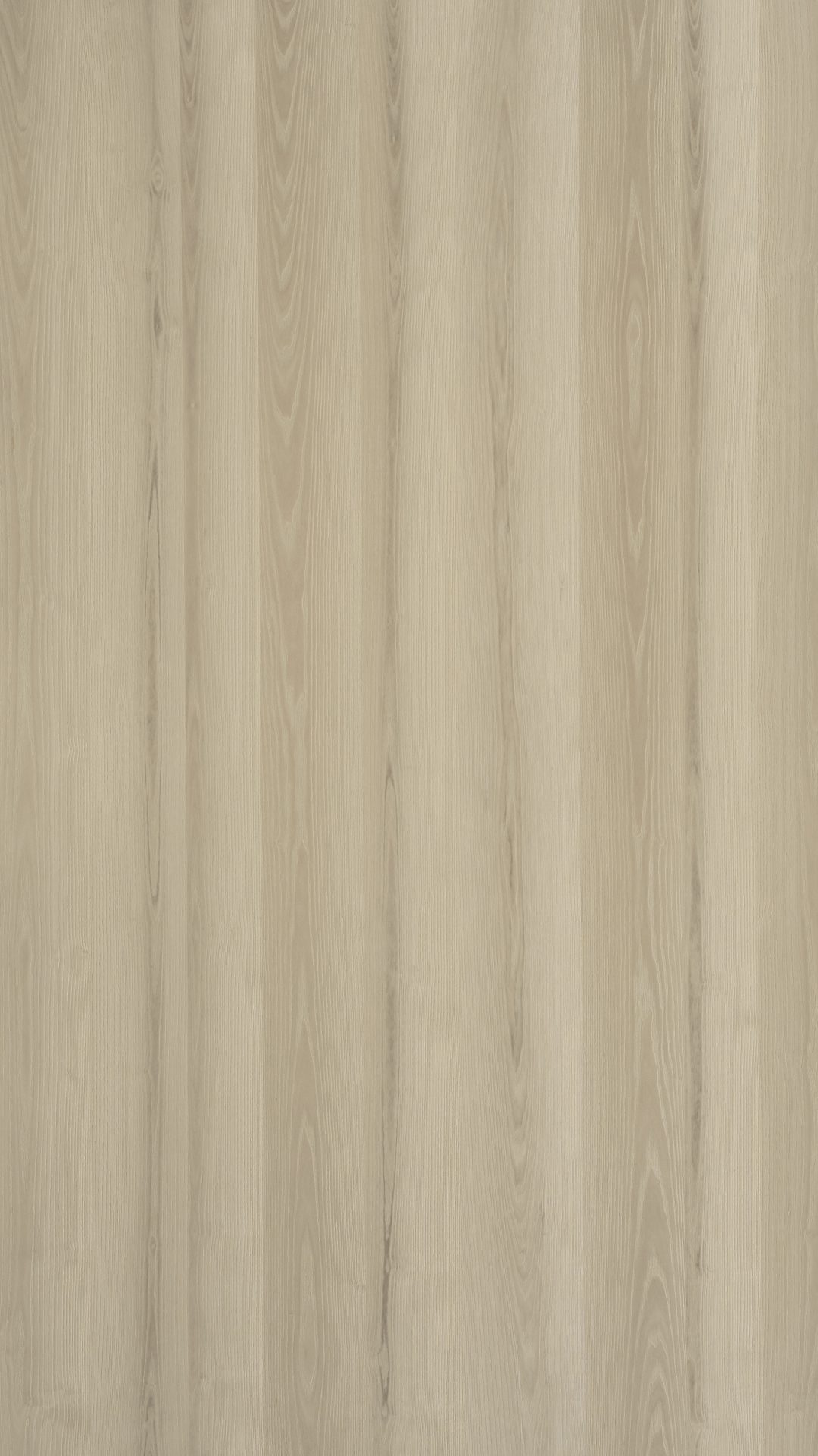 9QY832 - Image 2