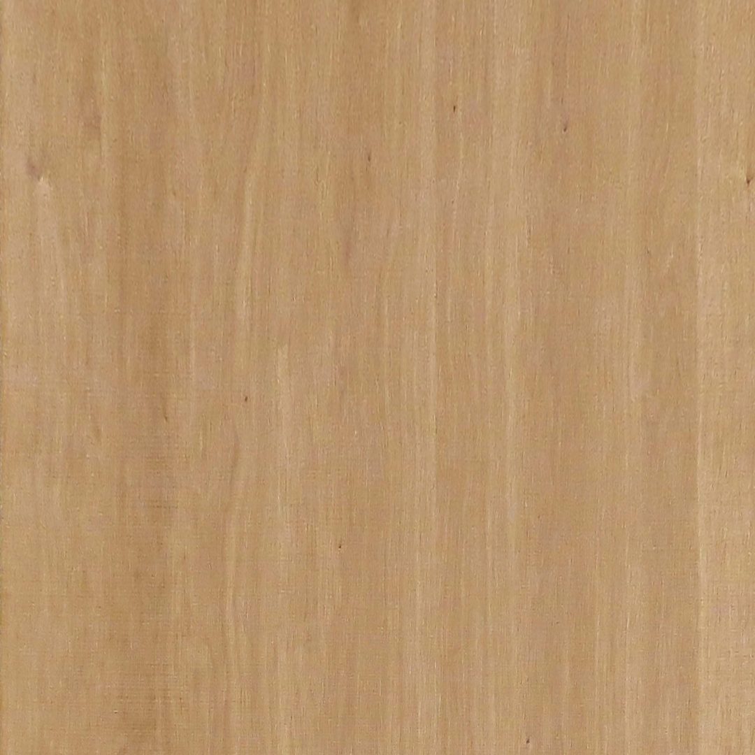 9TS6008S