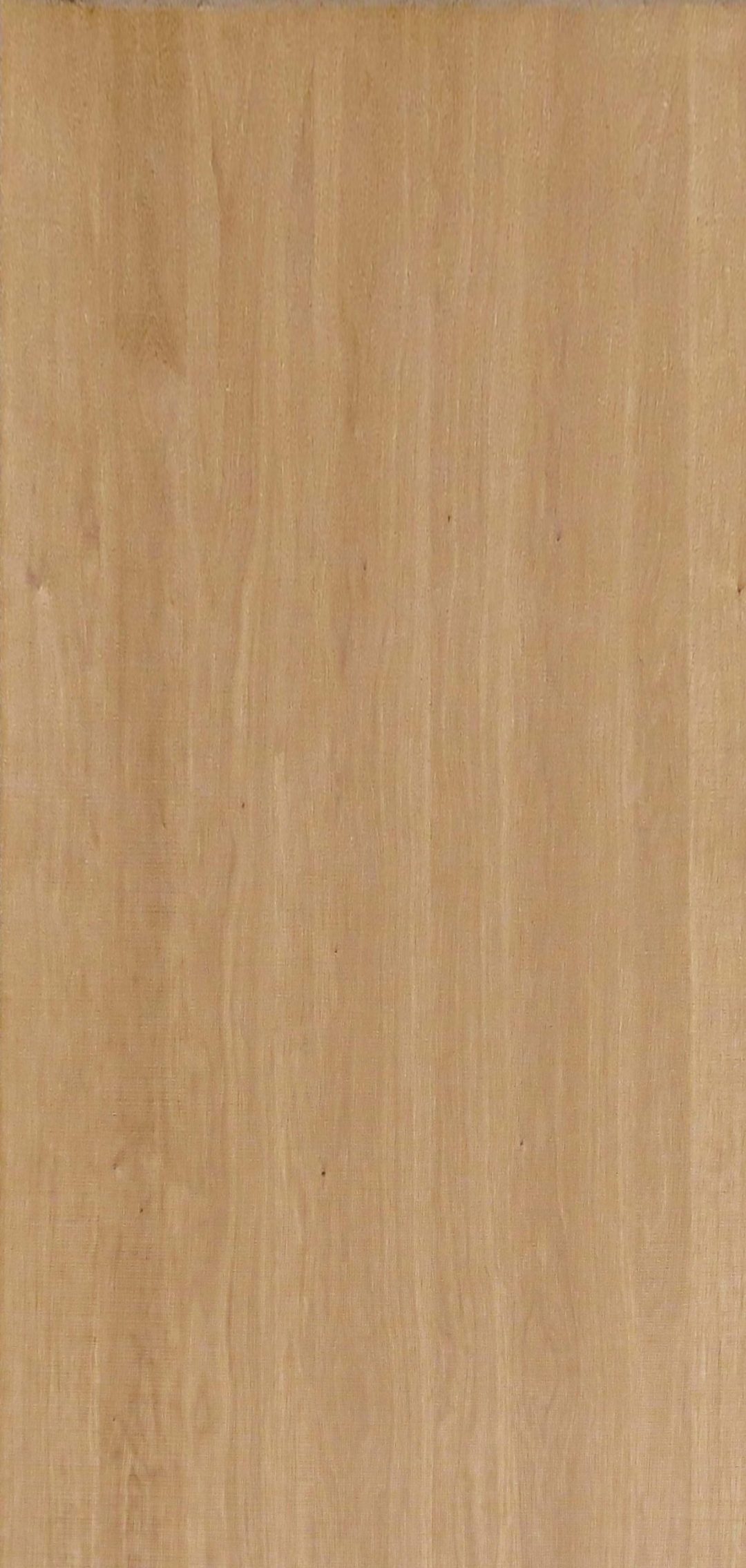 9TS6008S - Image 2