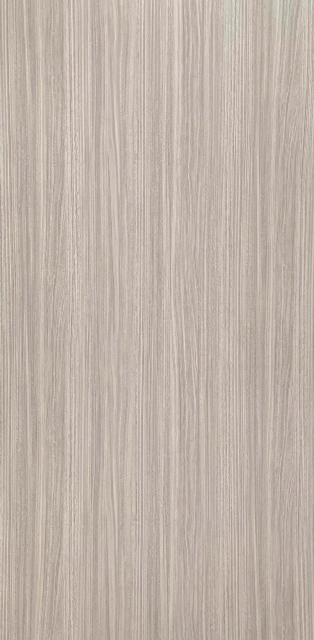 PZ8603：圖片 2