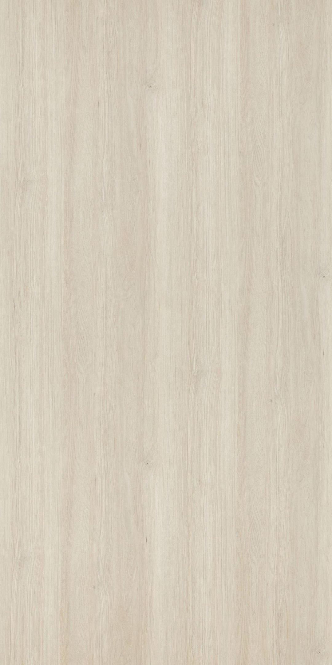 PZ8609：圖片 2