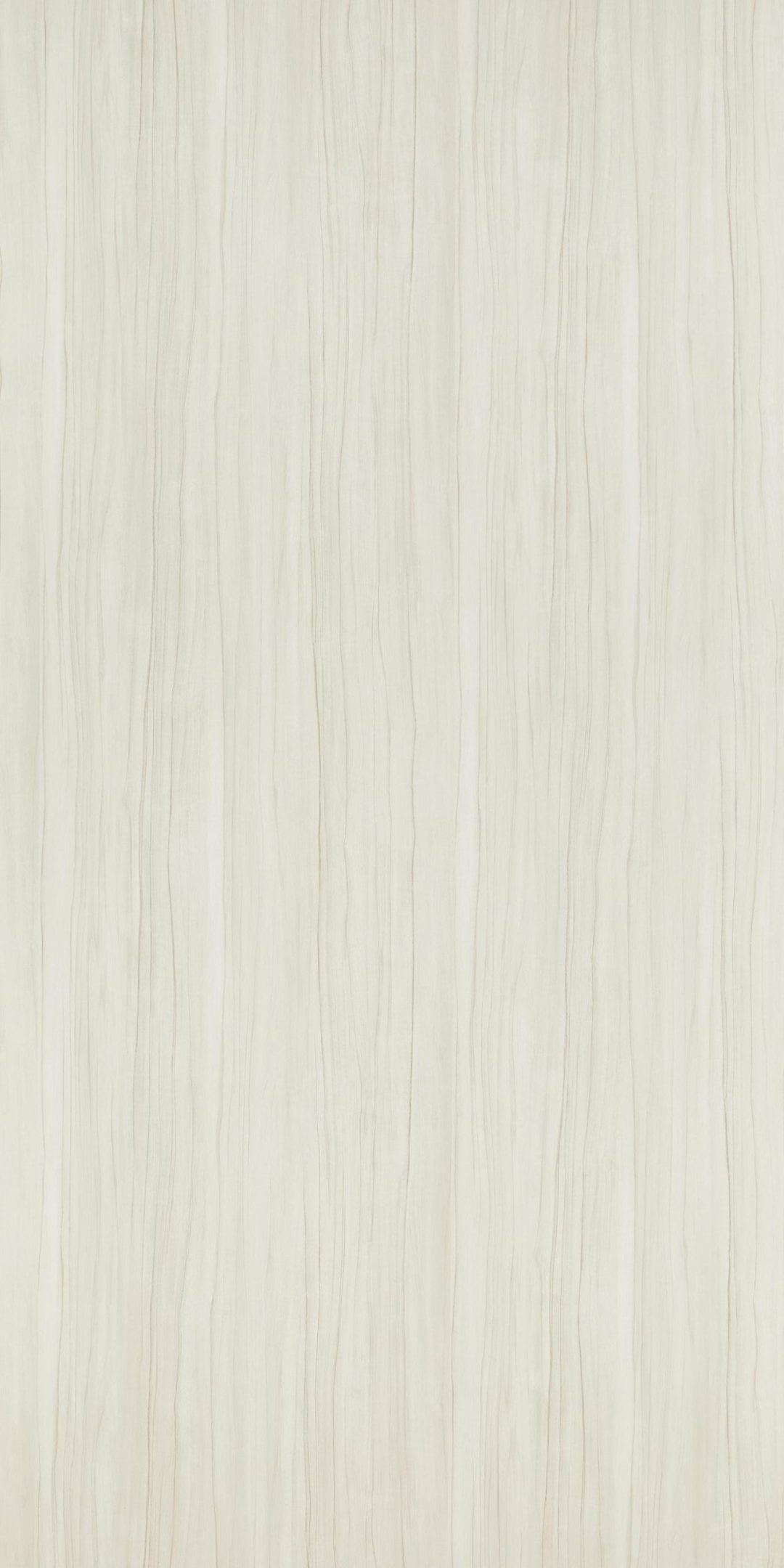 PZ8611：圖片 2