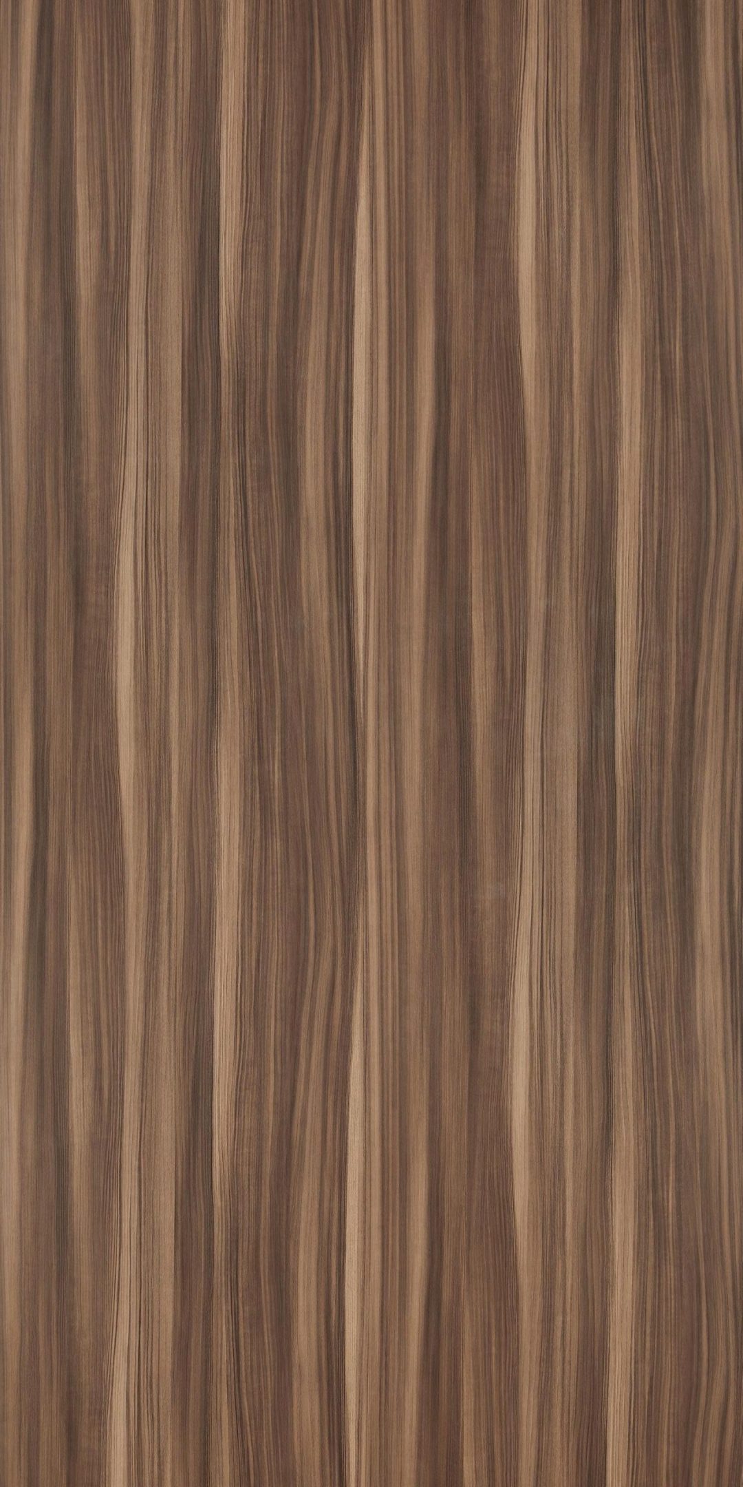 PZ8613：圖片 2