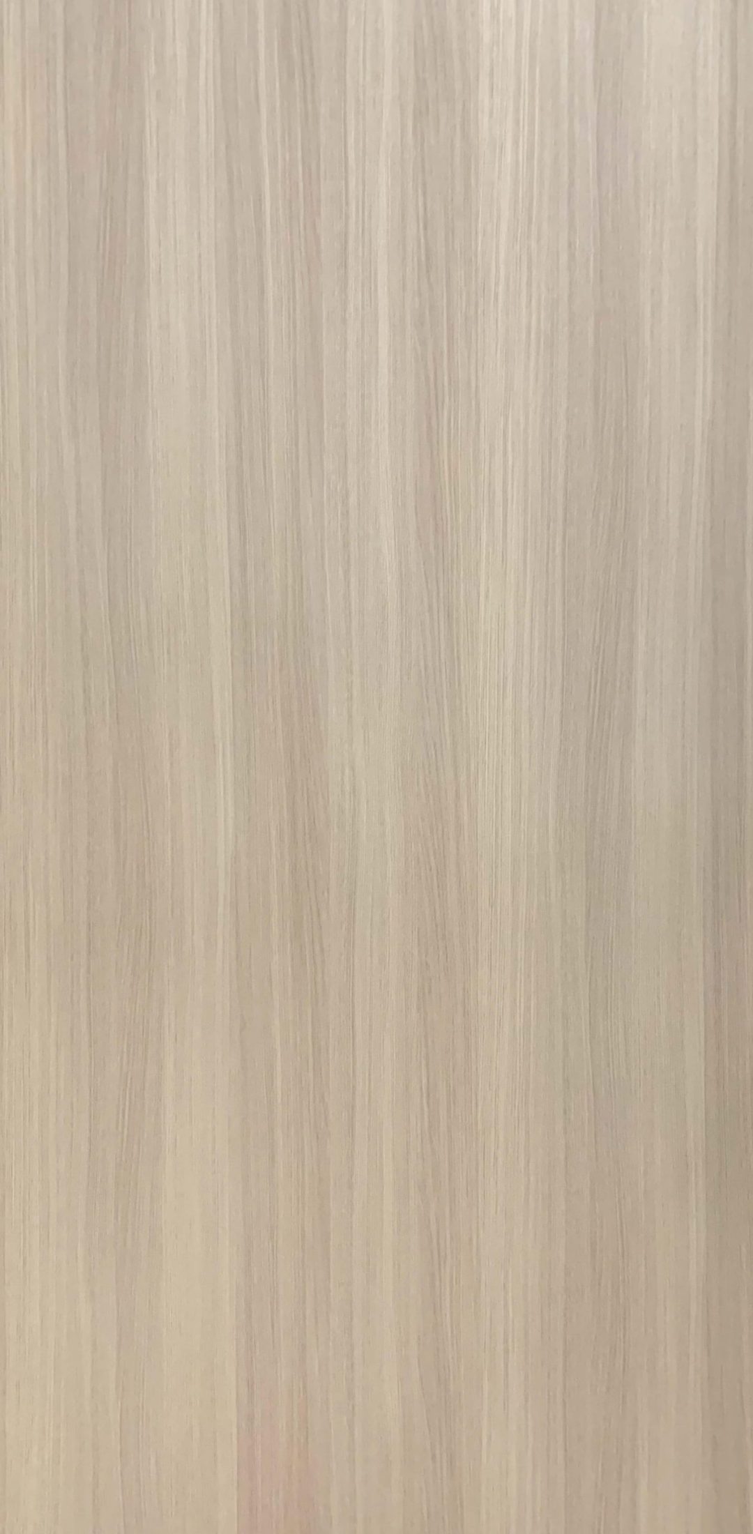 PZ8616：圖片 2