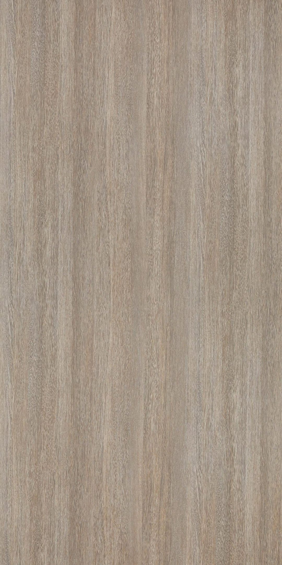PZ8618：圖片 2