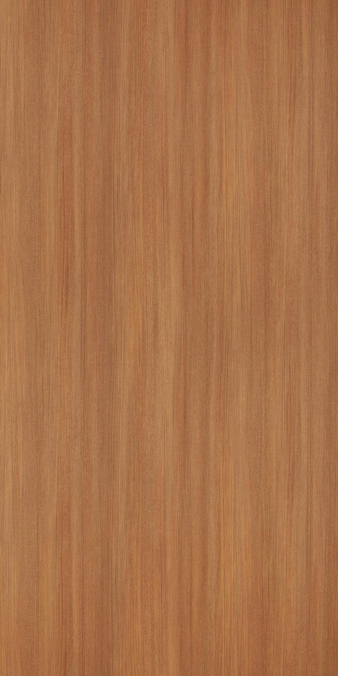 PZ8619：圖片 2