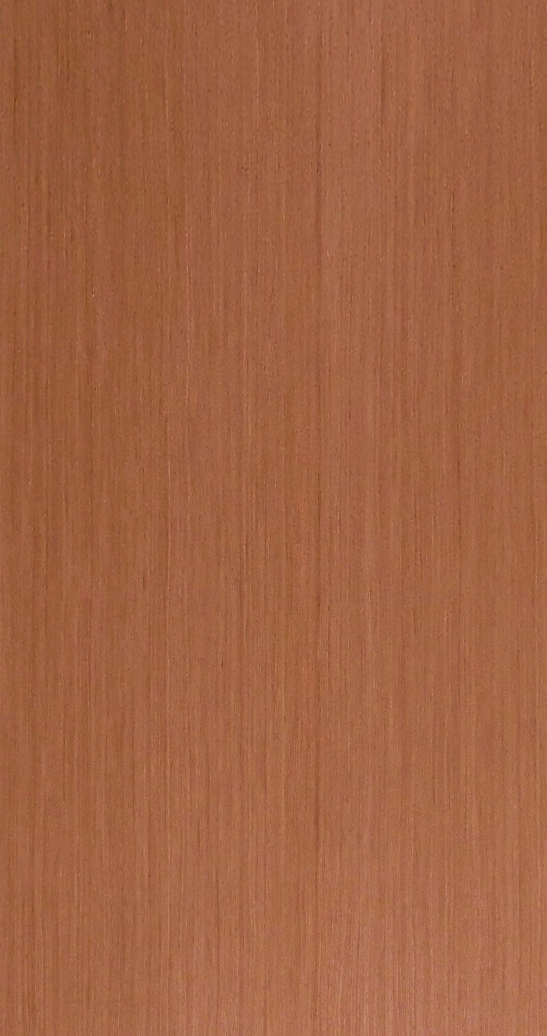 9073-1 櫻桃直紋：圖片 2