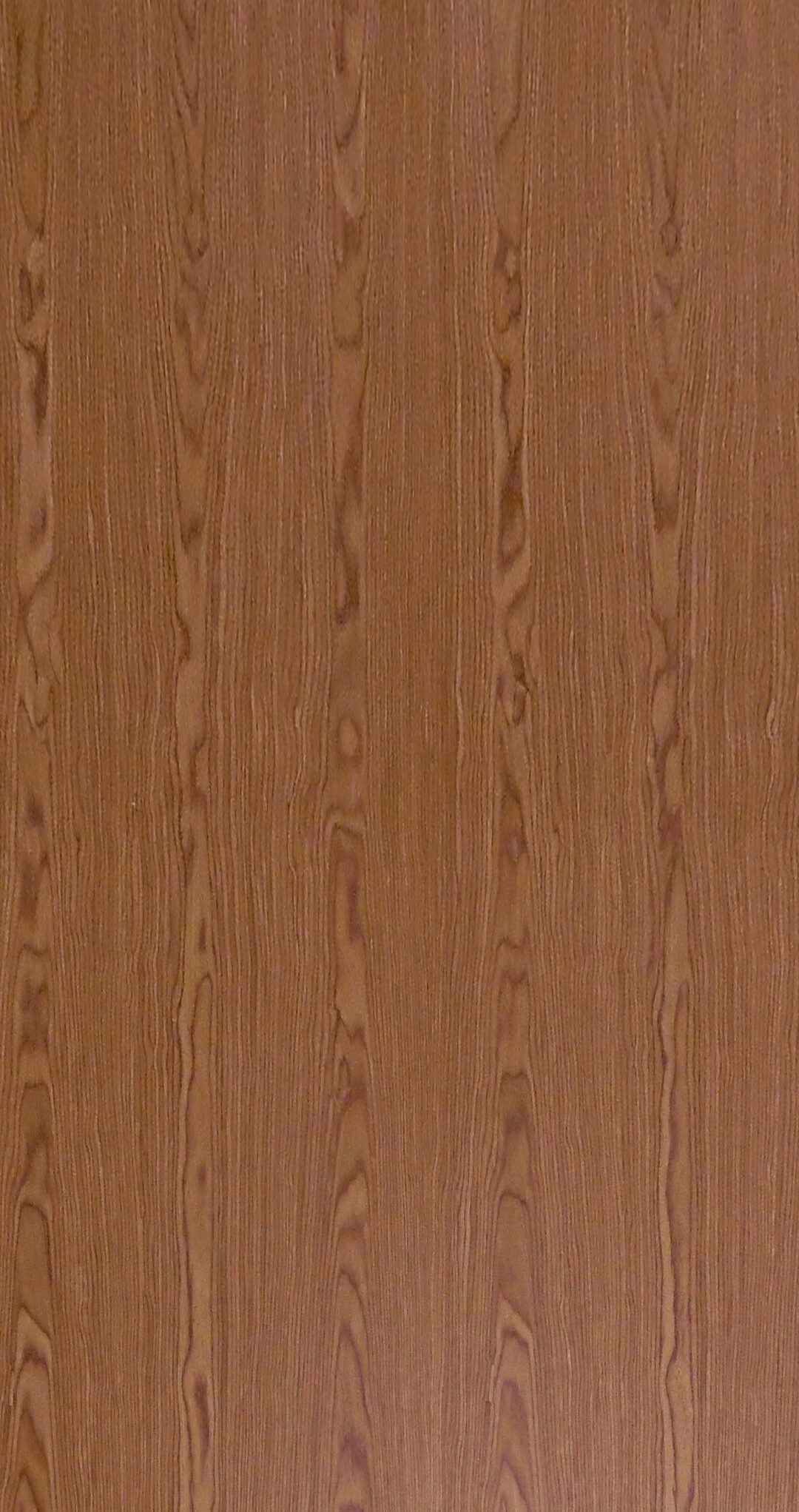 9075-1 櫻桃花紋：圖片 2
