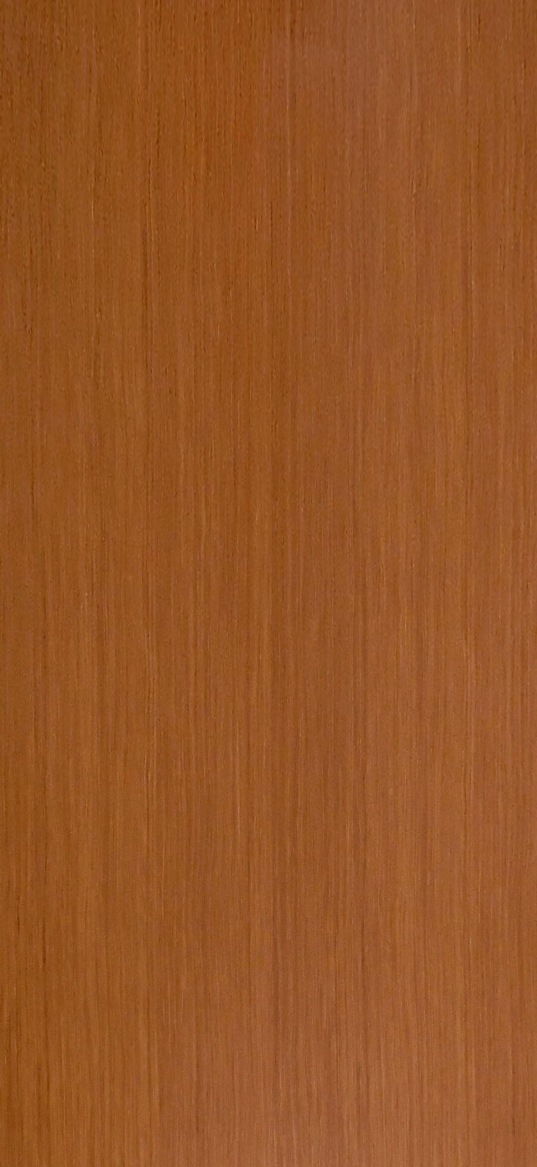9765 黃花梨直紋：圖片 2