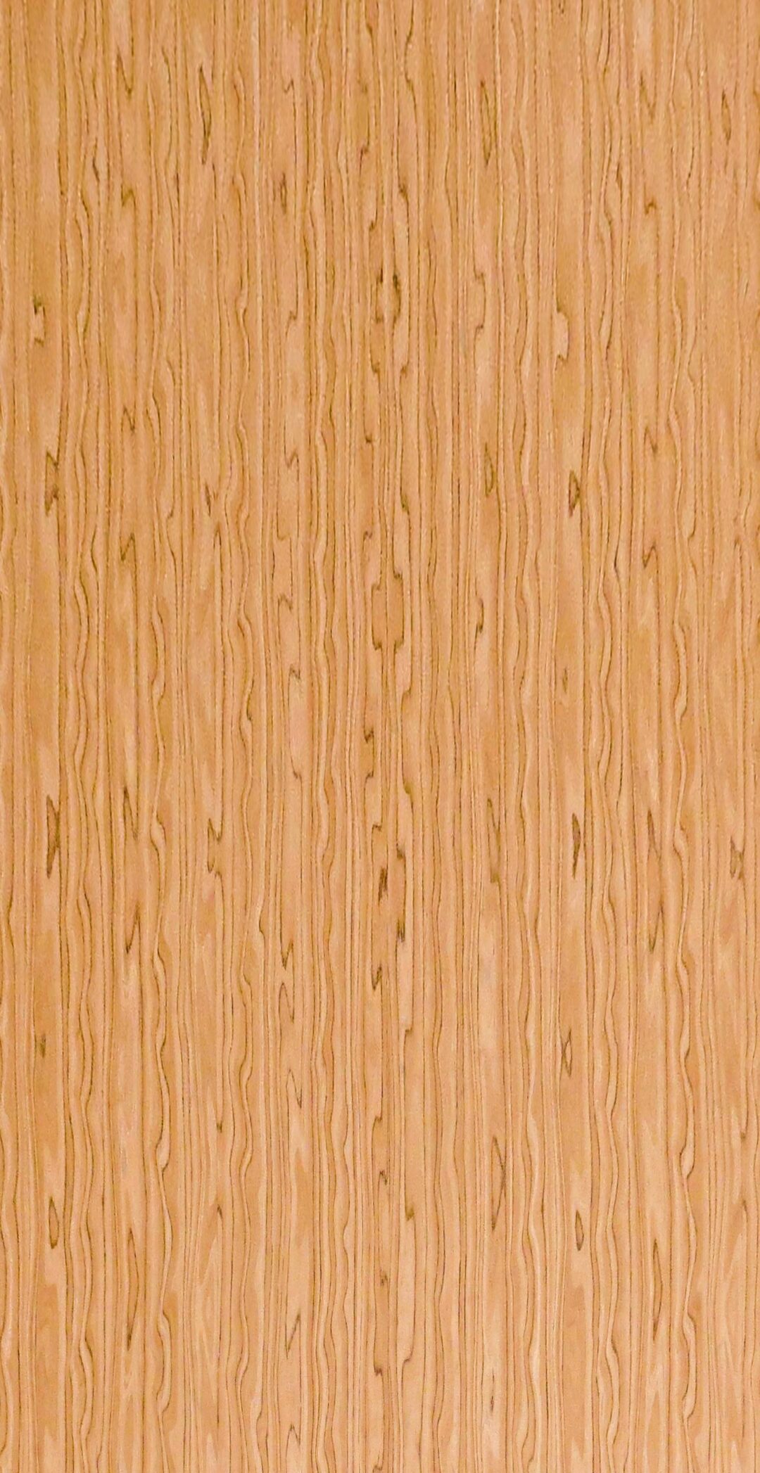 9QTA220 - Image 2