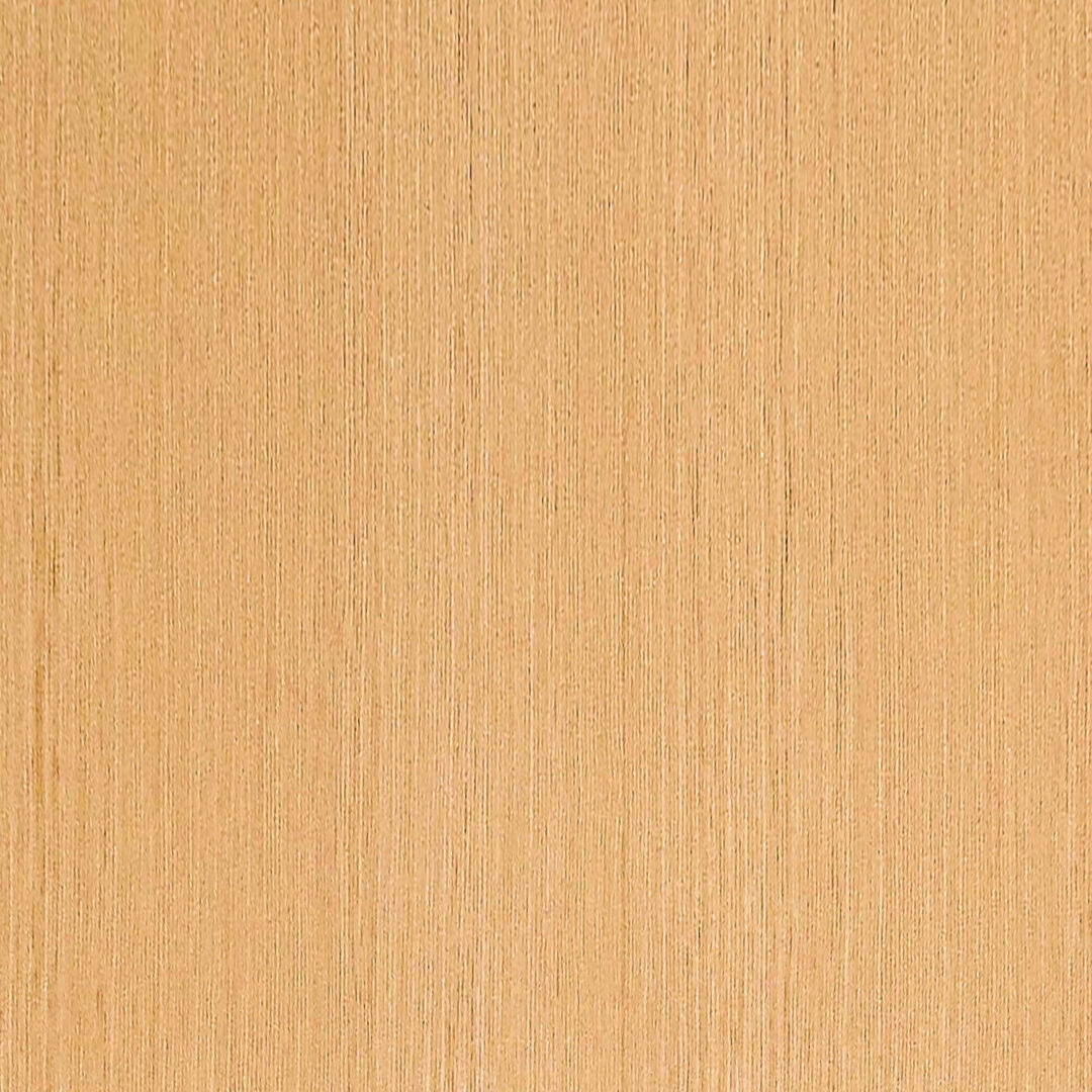 9QTA601