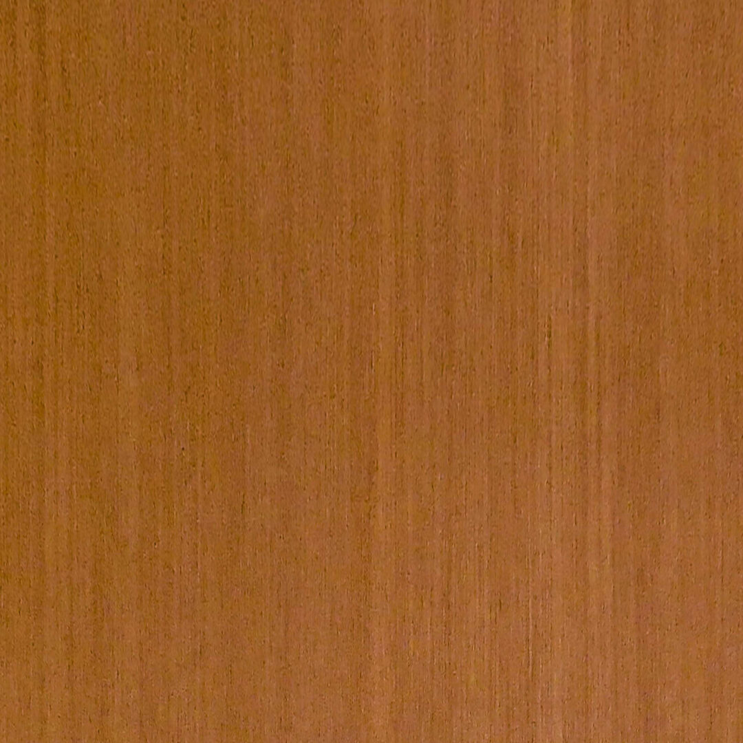 9QTA613 維多利亞