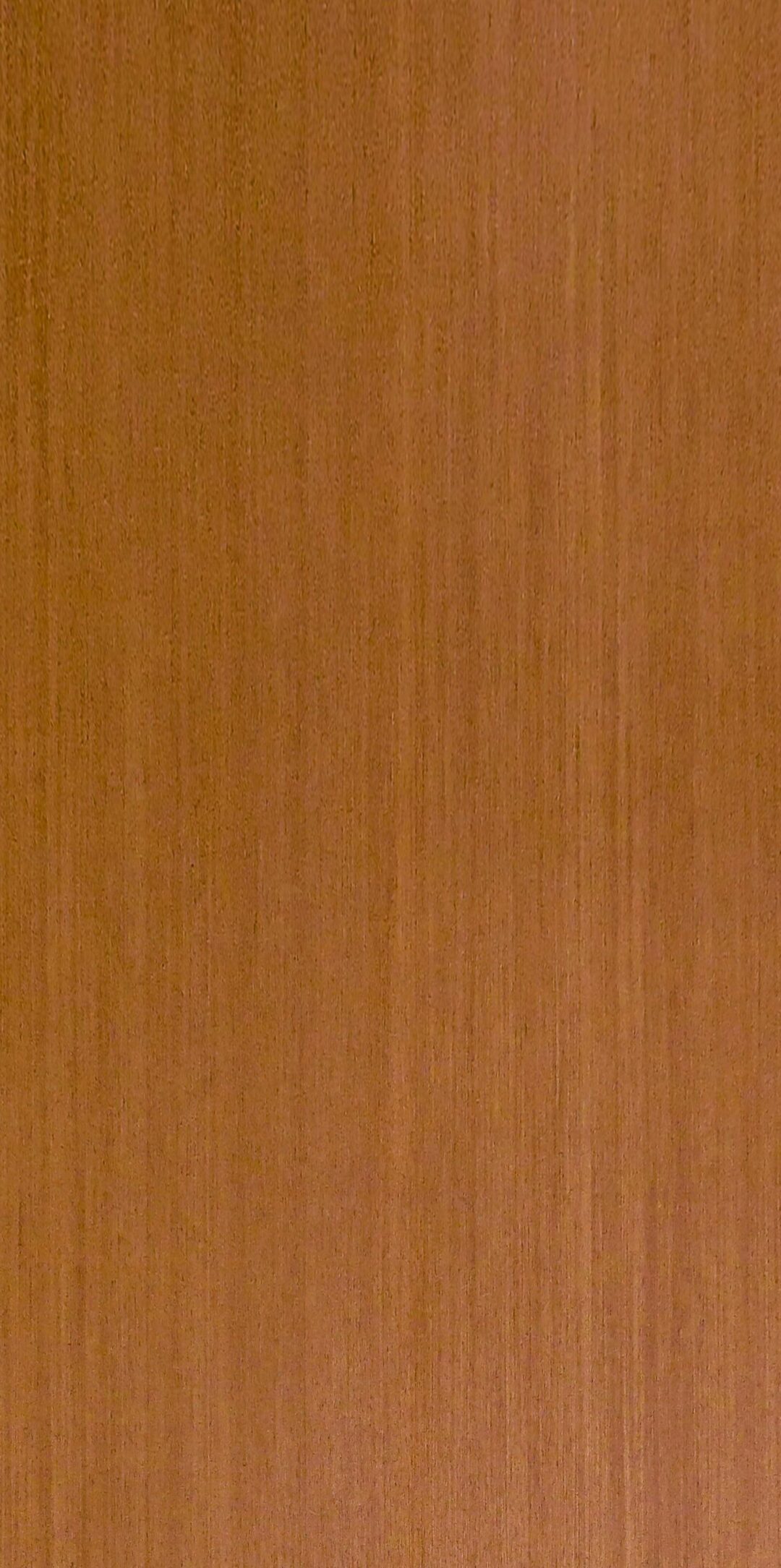 9QTA613 維多利亞：圖片 2