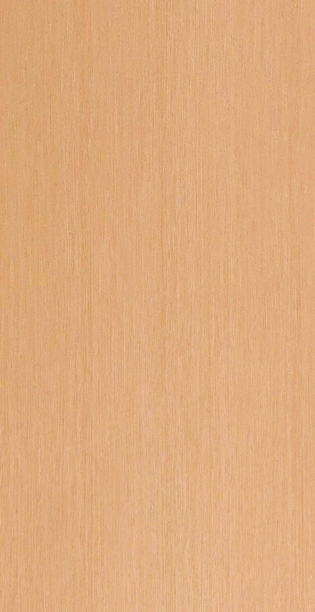 9QTC628 - Image 2