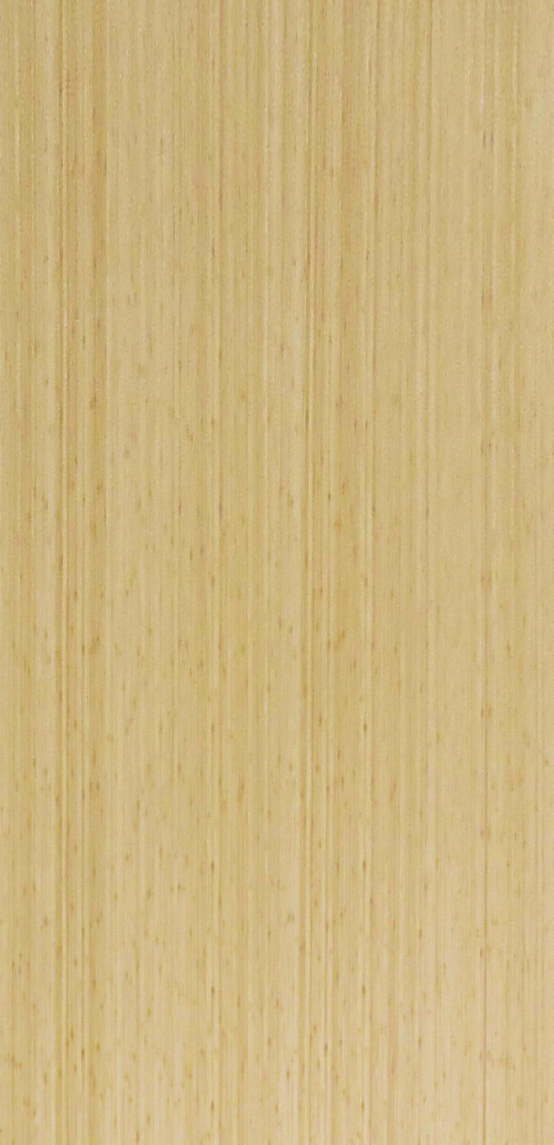 9S360 如意竹(細紋)：圖片 2