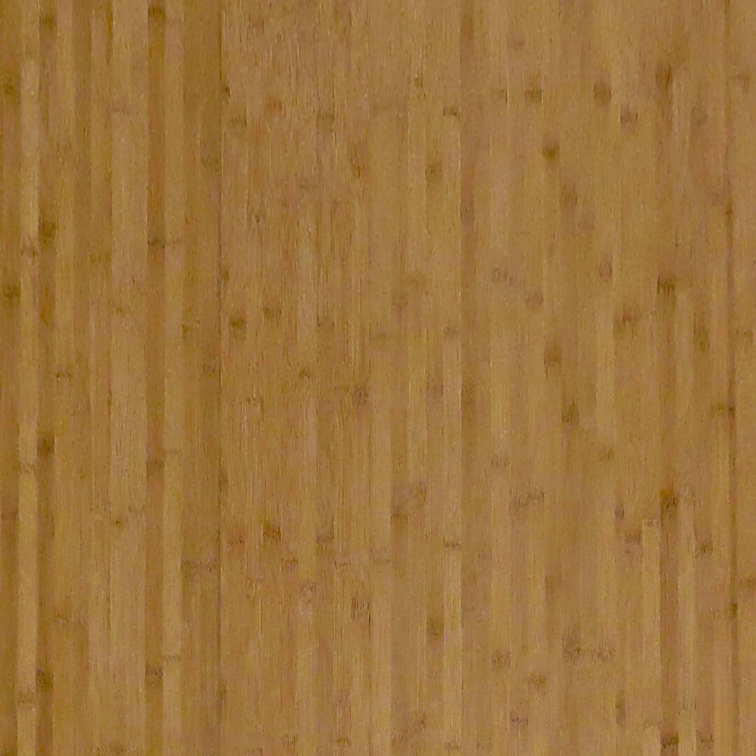 9S380-1 富貴竹(寬紋)