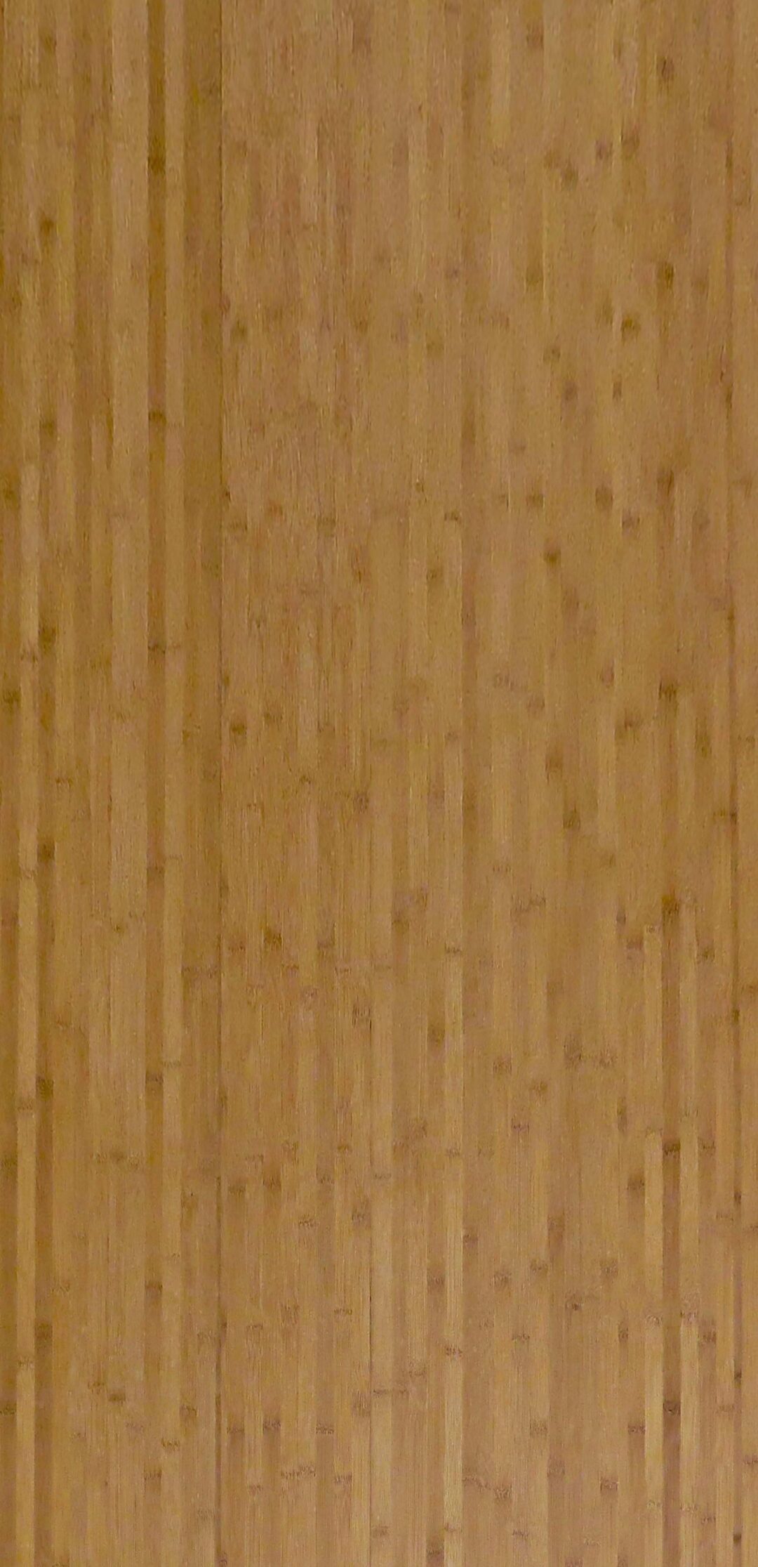 9S380-1 富貴竹(寬紋)：圖片 2