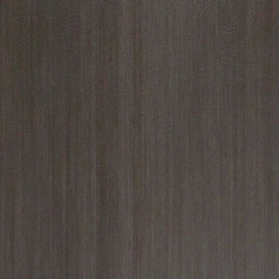 9TA611 月美人