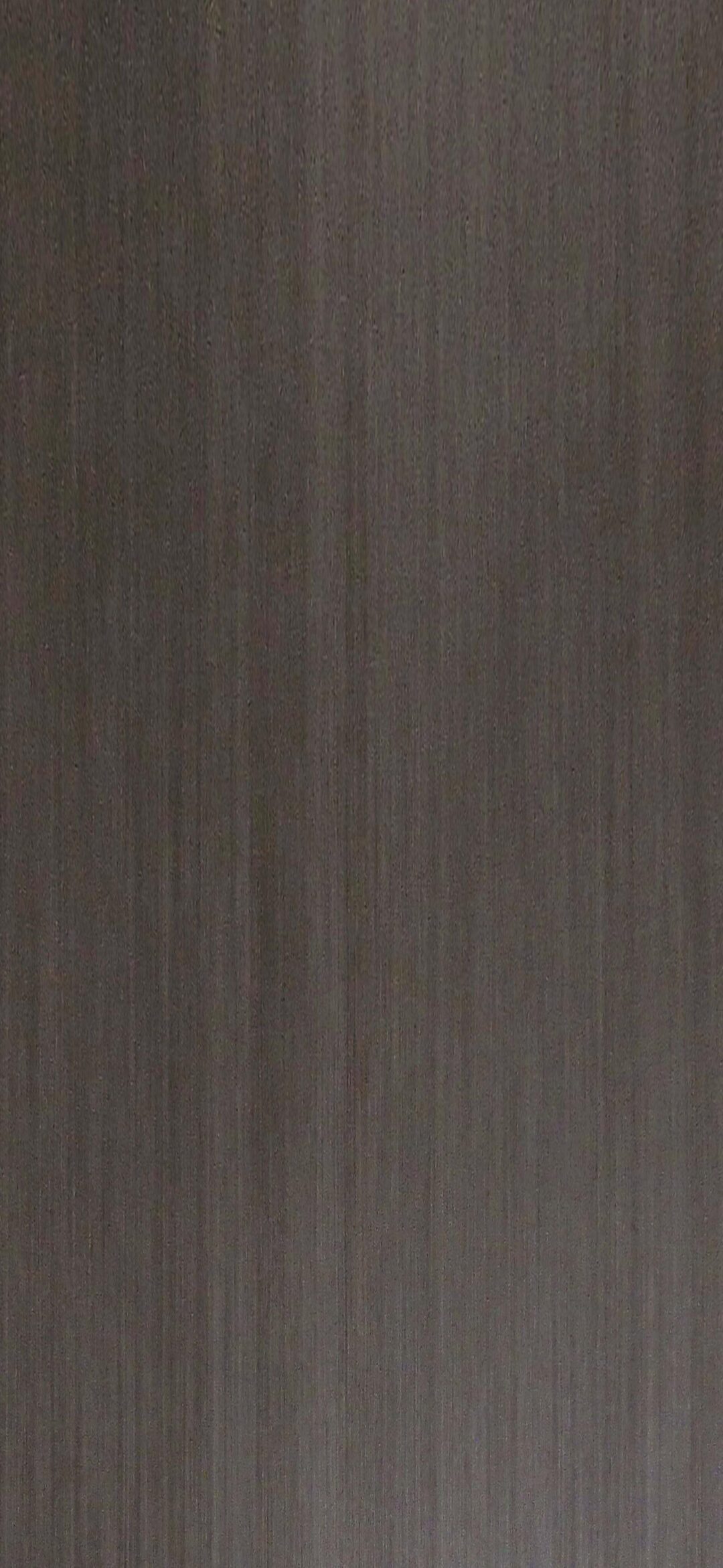 9TA611 月美人：圖片 2