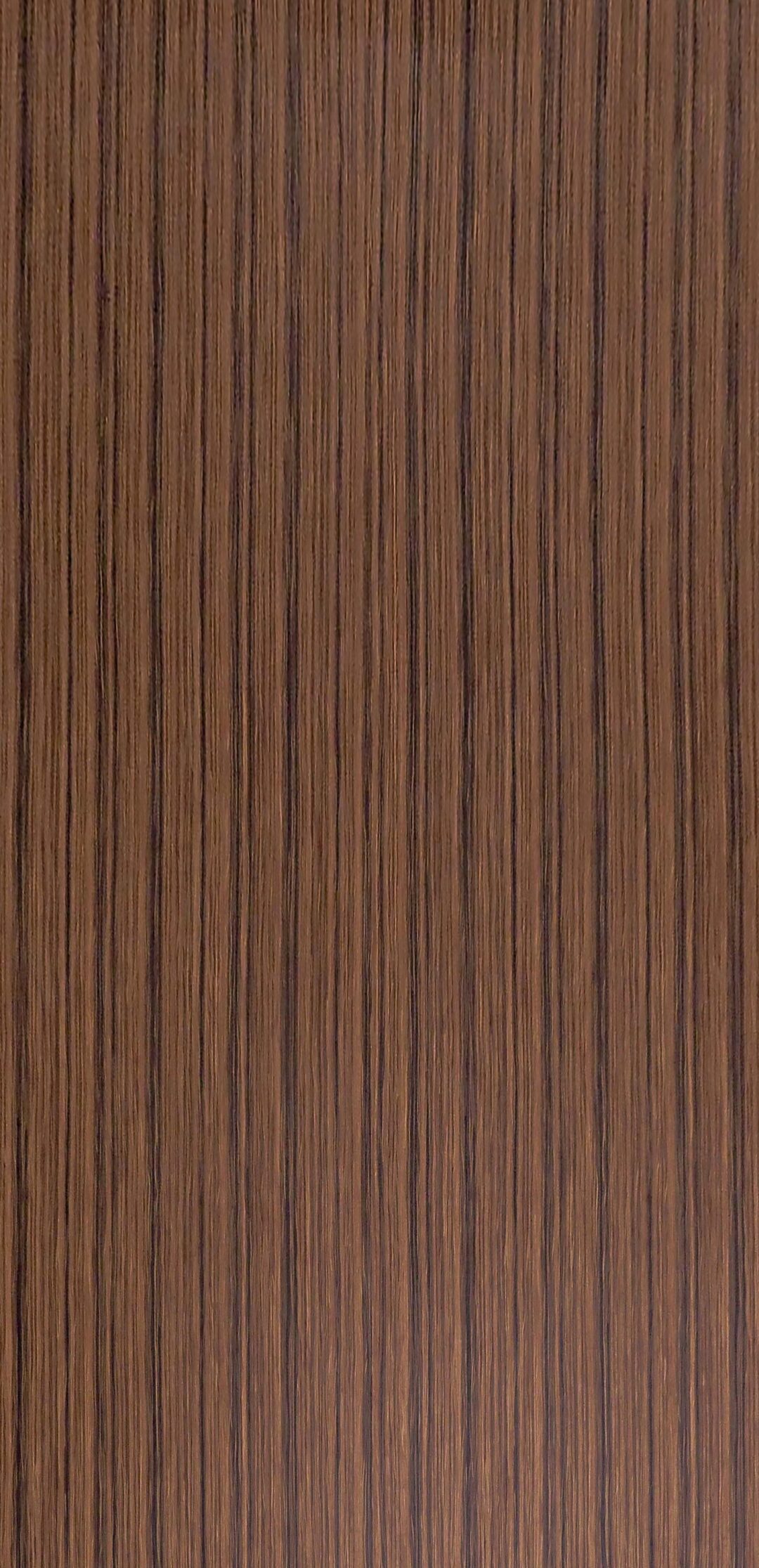 9TA636 玫瑰金：圖片 2