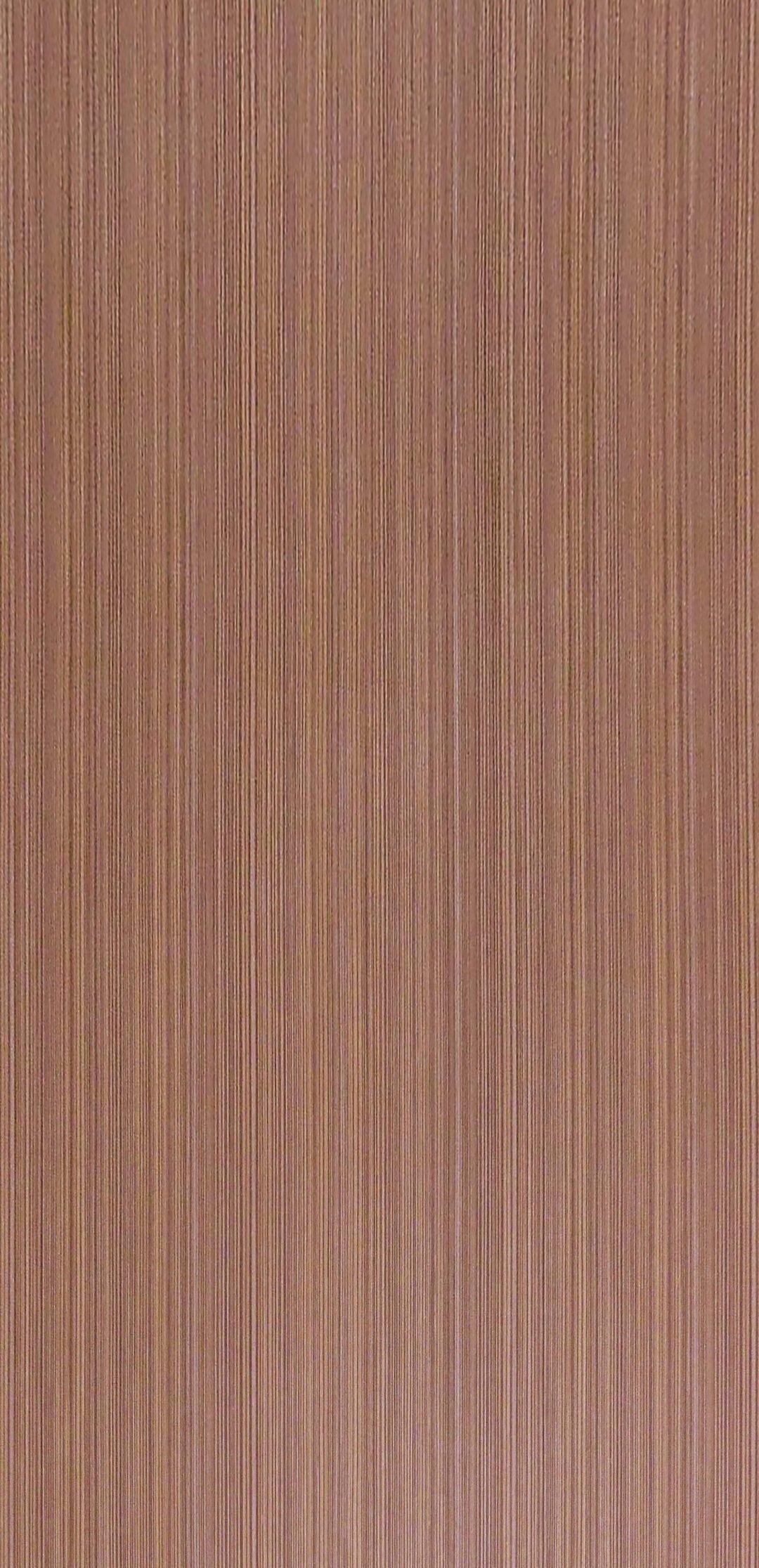 9TB203 美多利：圖片 2