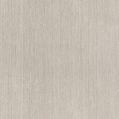 ta210 克多木染白：圖片 2