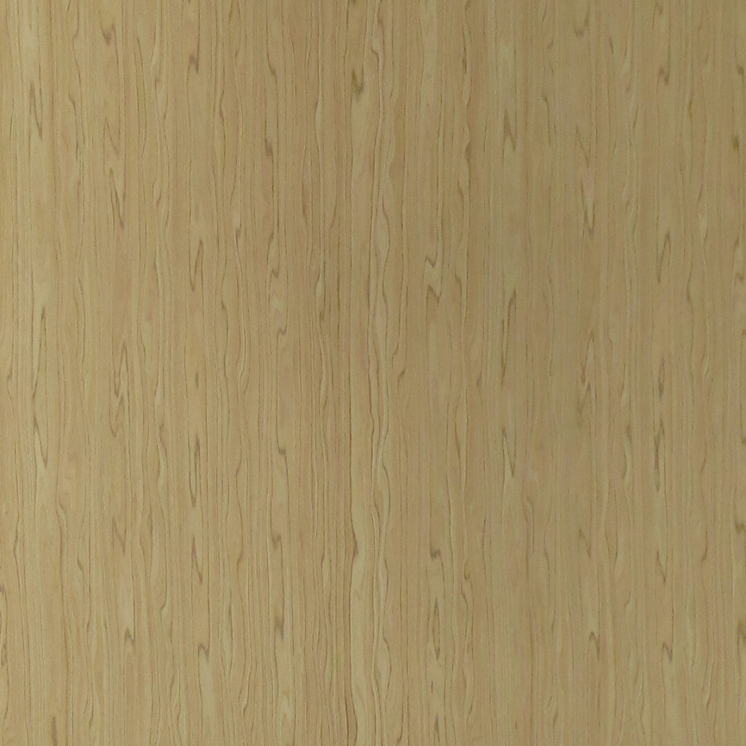 ta220 璞美