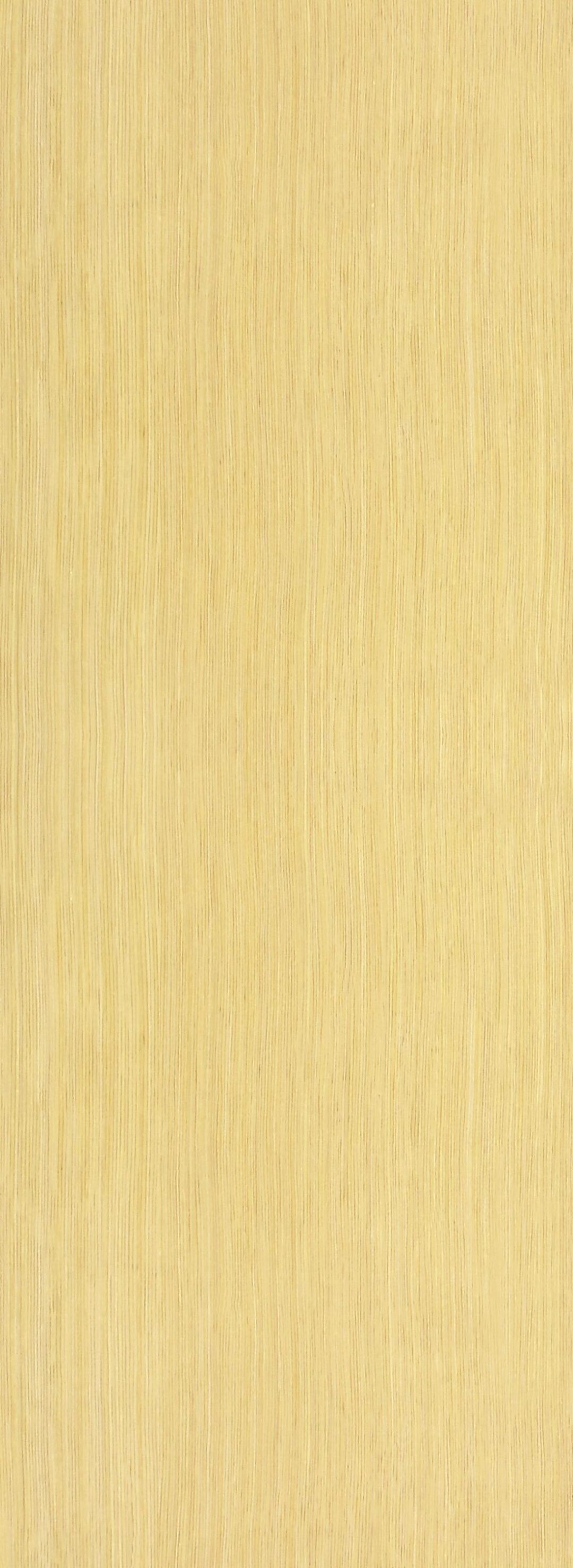 ta601 重陽木：圖片 2