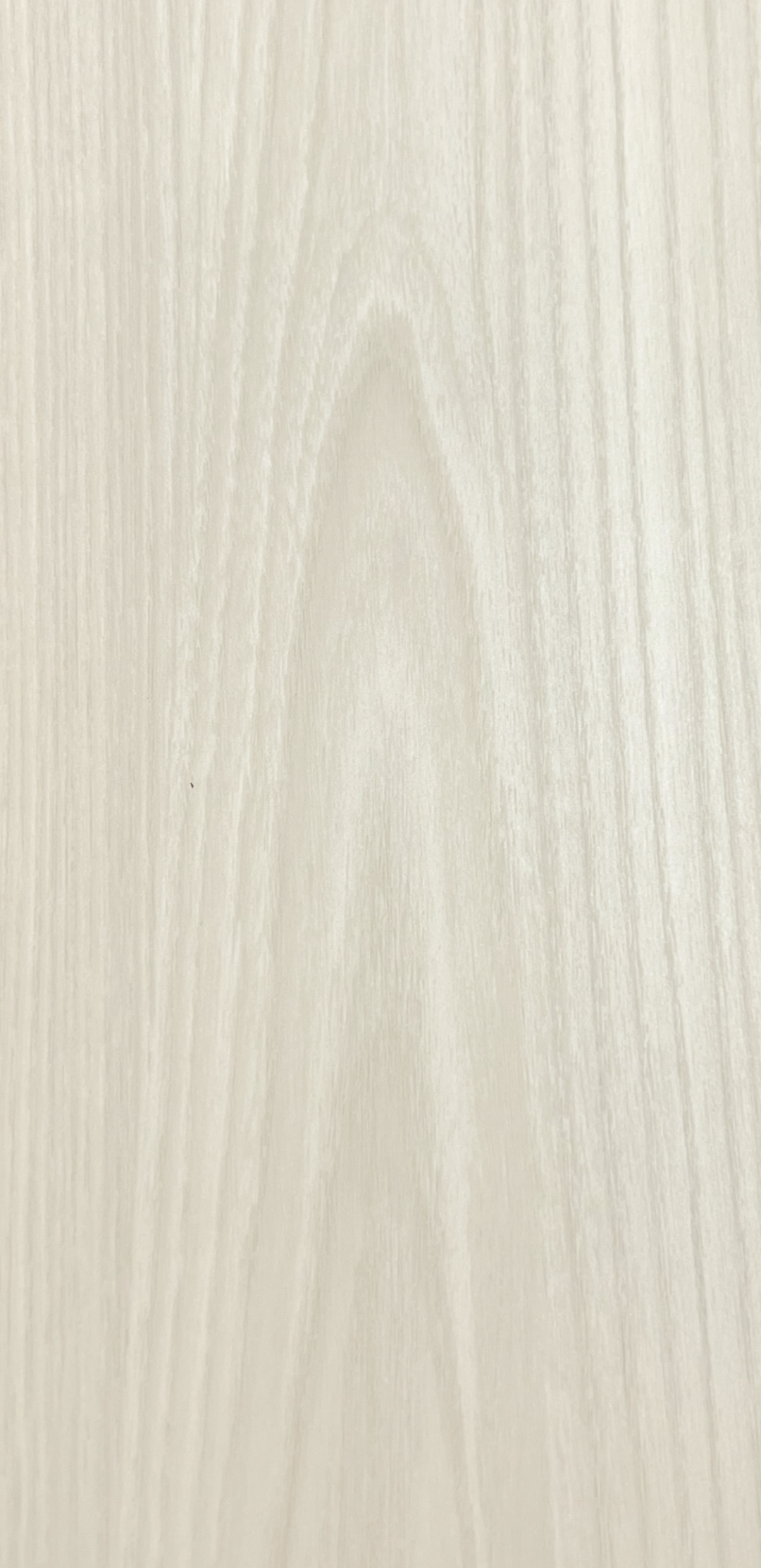 PZ8662 - Image 2