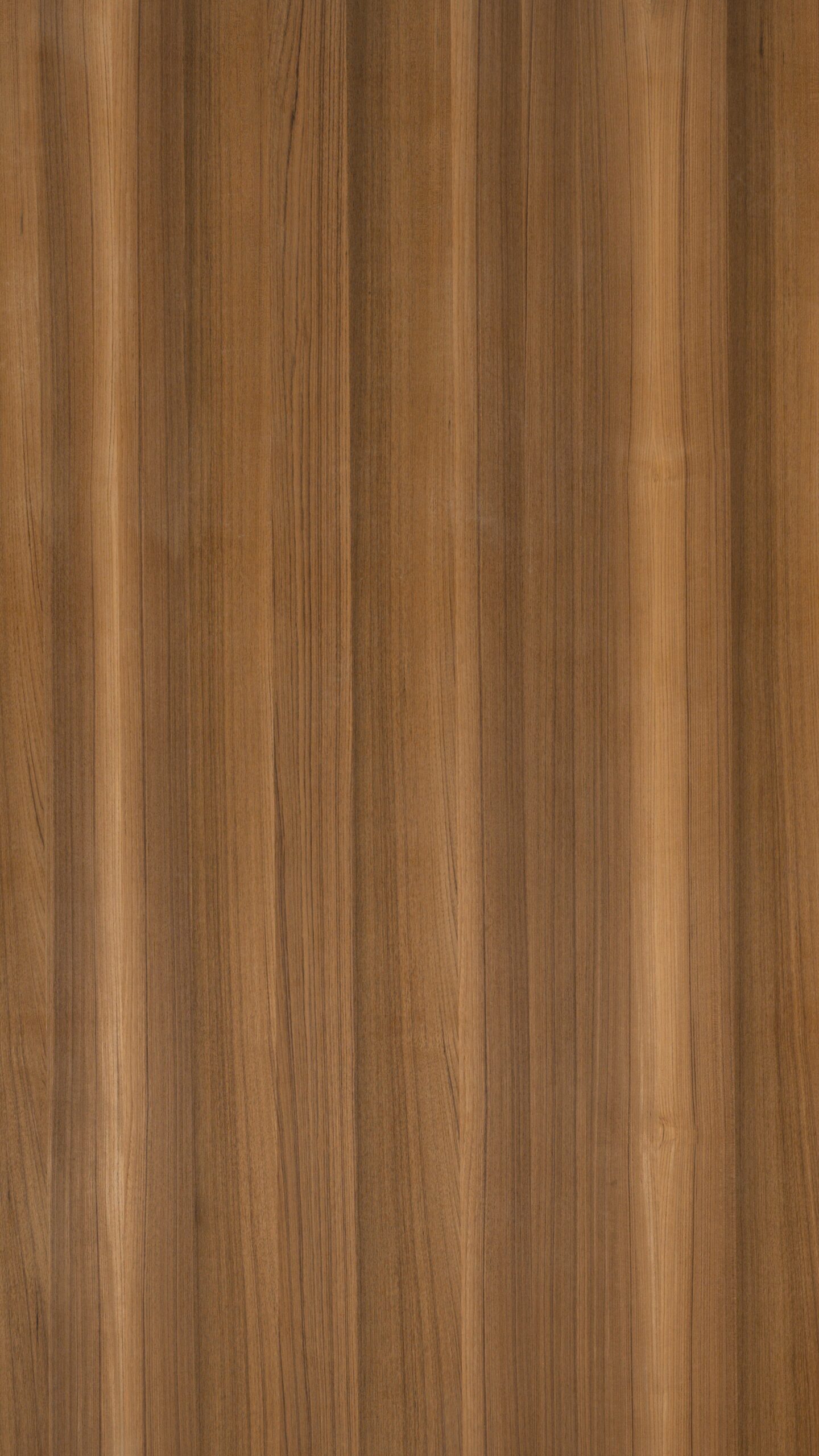 6012 柚木直紋:圖片 2