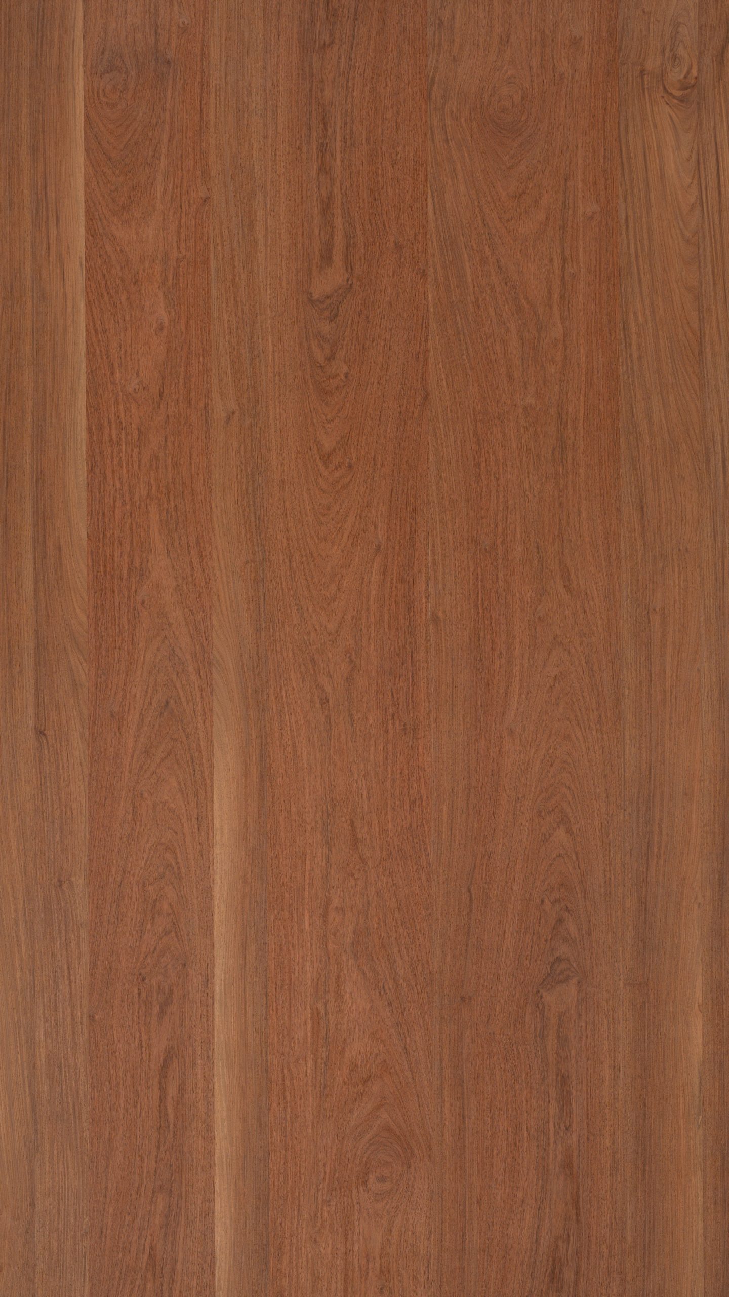 6040 花梨花紋:圖片 2