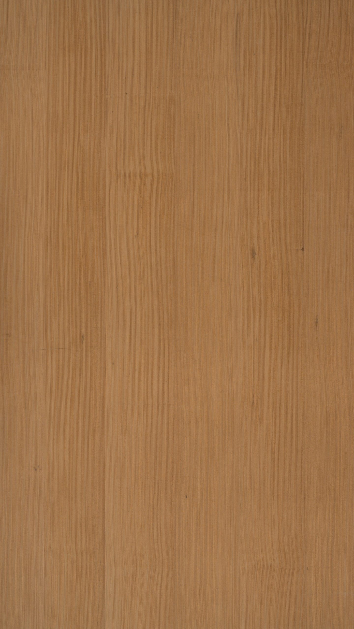 6042 非柚直紋:圖片 2