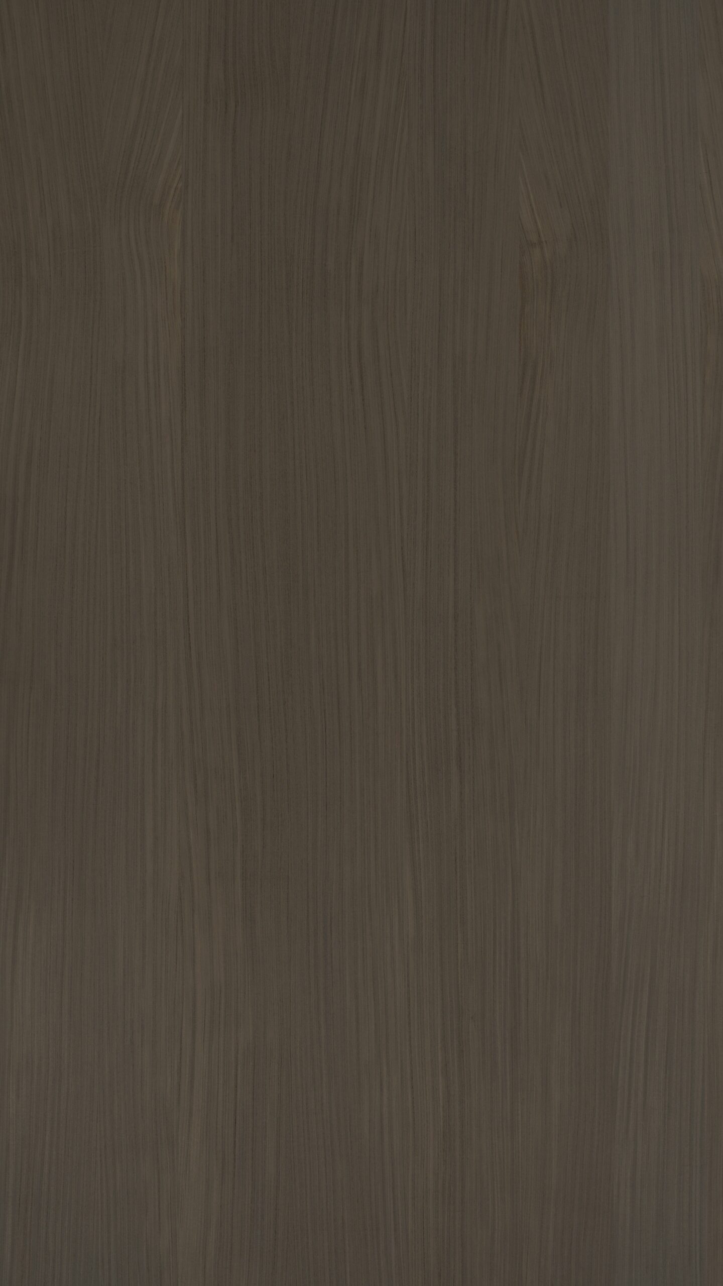 B512 水染尤加利實木拼:圖片 2