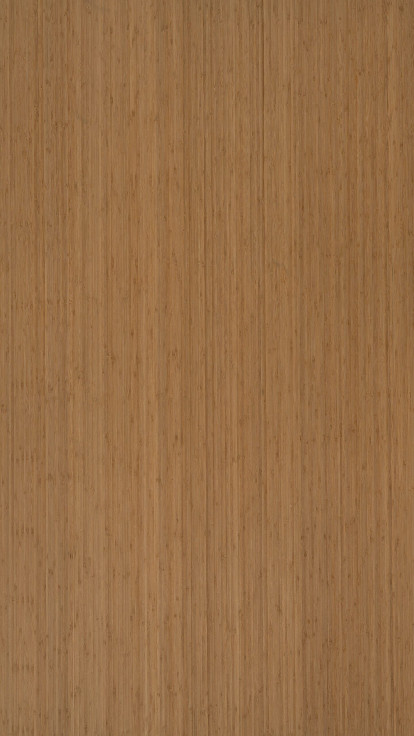 S380 富貴竹板:圖片 2